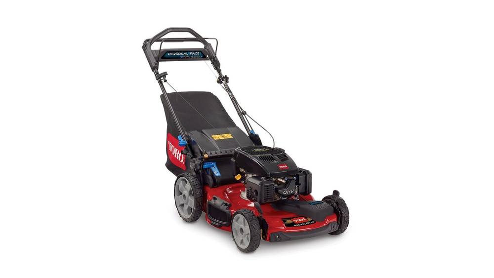 Toro 22